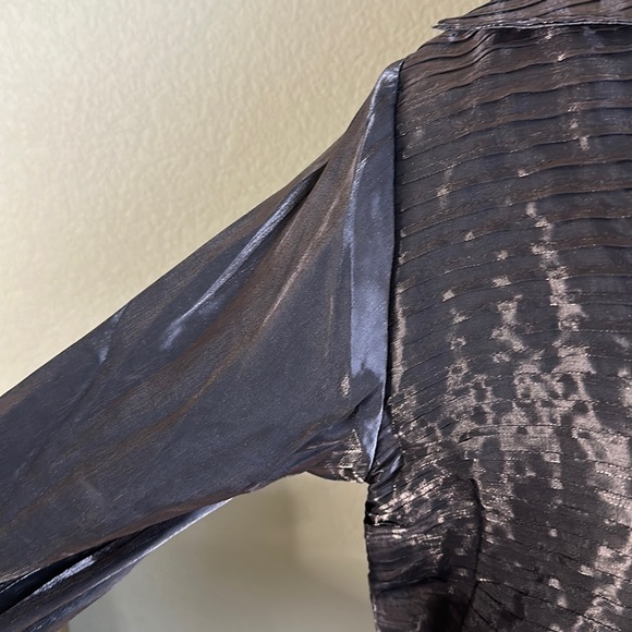 Sheer Blouse - Picture 4 of 7